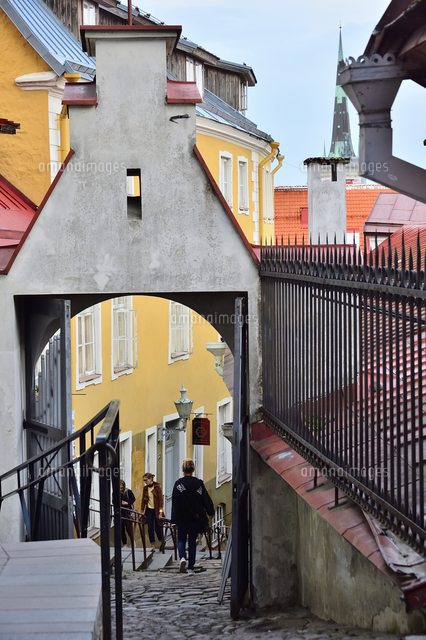 世界遺産歴史地区のタリンの旧市街に並ぶカラフルな建物 旧市街は世界遺産 の写真素材 イラスト素材 アマナイメージズ