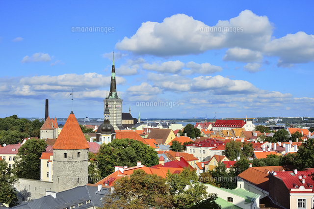 パットクリ展望台から見た世界遺産の歴史地区のタリンの旧市街 旧市街は世界遺産 の写真素材 イラスト素材 アマナイメージズ