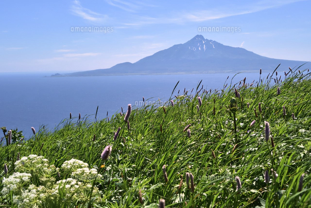 最終価格‼️【稀産地】ツマベニチョウ♀標本☆尖閣諸島産☆93mm美麗