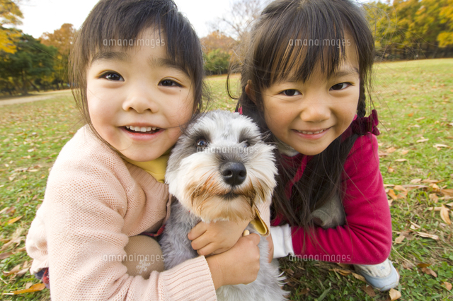 紅葉の中で犬と遊ぶ子供 の写真素材 イラスト素材 アマナイメージズ