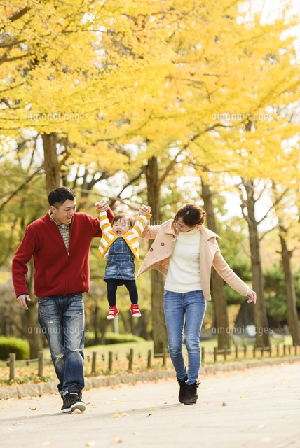紅葉の公園で高い高いする親子 の写真素材 イラスト素材 アマナイメージズ