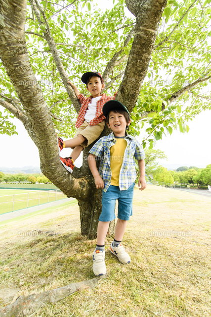 公園の木の前でポーズをとる男の子 の写真素材 イラスト素材 アマナイメージズ