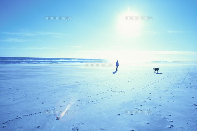 太陽と人と犬[10266004631]の写真・イラスト素材｜アマナイメージズ
