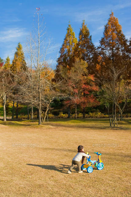 リスキーなジェスチャー姓公園三輪車- k-mall.jp