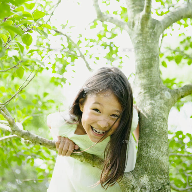 木登りをするハーフの女の子 の写真素材 イラスト素材 アマナイメージズ
