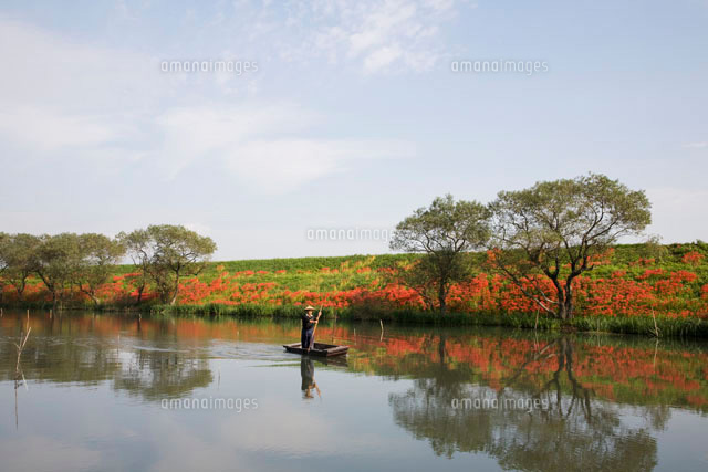 彼岸花と津屋川と漁師 の写真素材 イラスト素材 アマナイメージズ