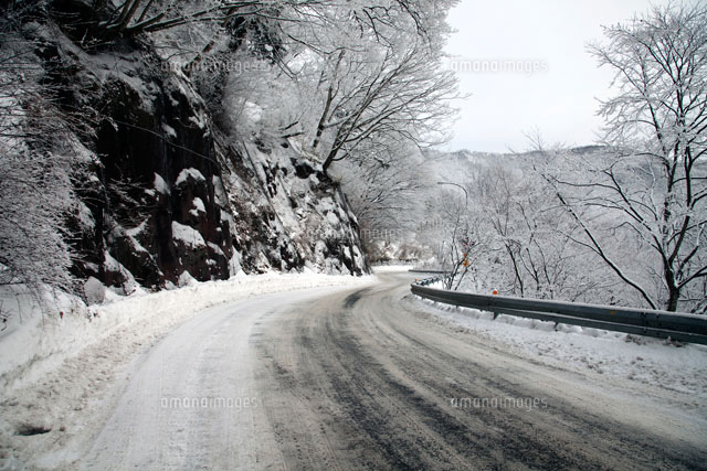 冬の坂道・・・・　ＬＡＭＢＥＲＴ 道～デラックス盤～[CD] - 坂本冬美 - UNIVERSAL MUSIC JAPAN