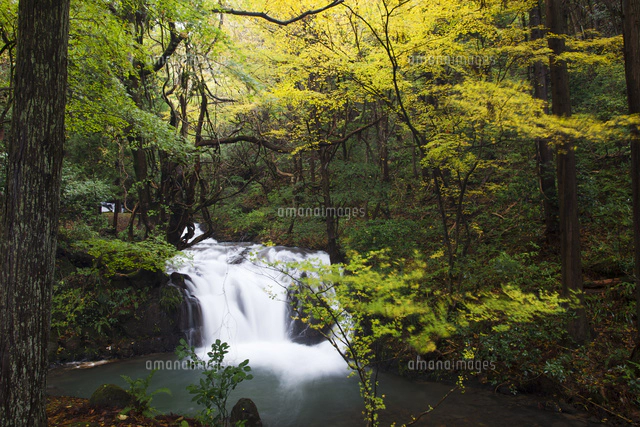 七ツ滝[10277005233]の写真・イラスト素材｜アマナイメージズ