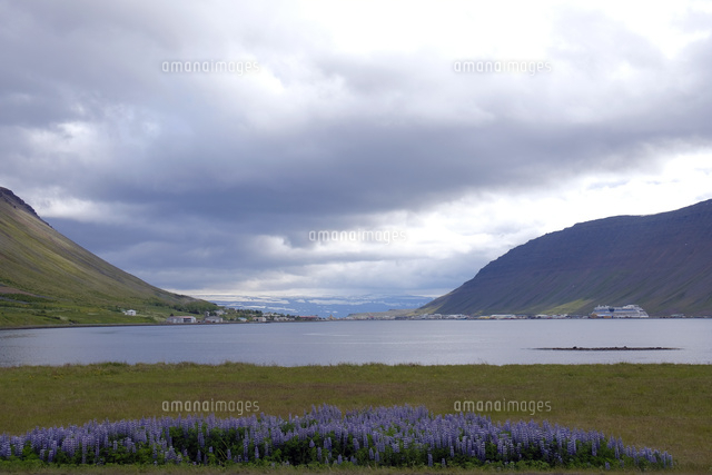 イーサフィヨルズゥル[10277009881]の写真素材・イラスト素材｜アマナイメージズ