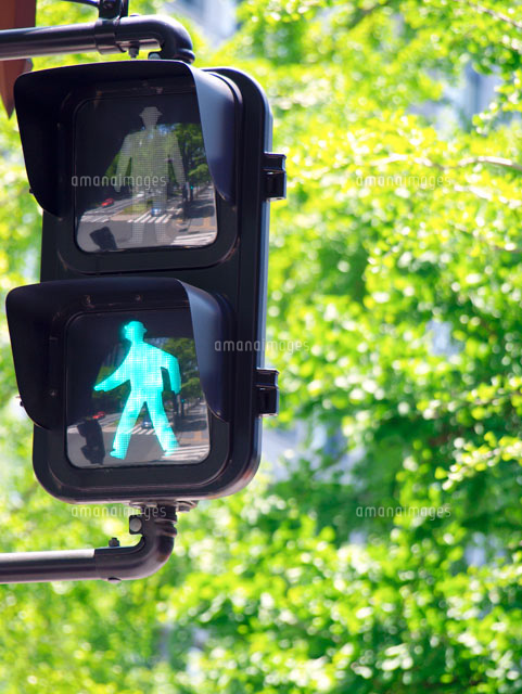 青信号と新緑 の写真素材 イラスト素材 アマナイメージズ