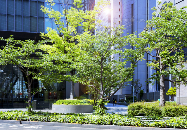 オフィス街と街路樹 の写真素材 イラスト素材 アマナイメージズ