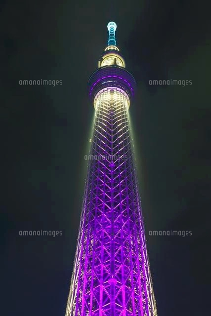 江戸紫色にライトアップした東京スカイツリー の写真素材 イラスト素材 アマナイメージズ