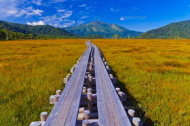 尾瀬の草紅葉と至仏山 の写真素材 イラスト素材 アマナイメージズ