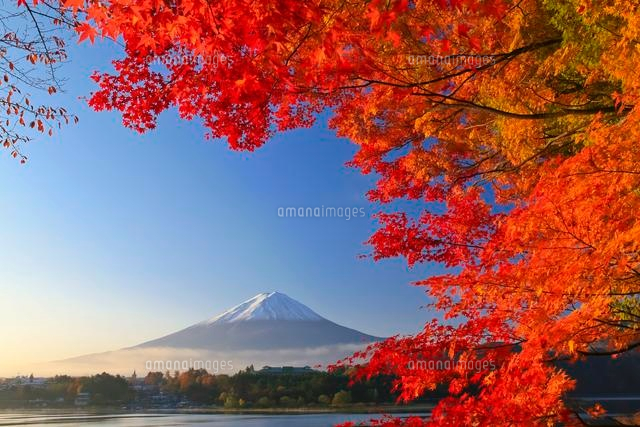 紅葉と富士山 の写真素材 イラスト素材 アマナイメージズ