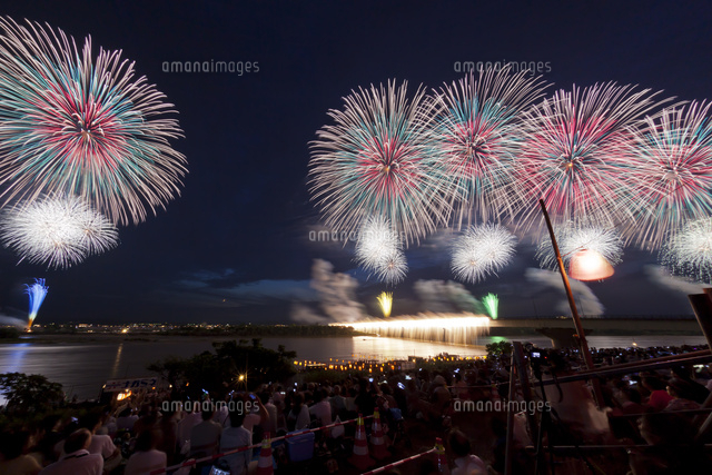 長岡まつり大花火大会のフェニックス花火 の写真素材 イラスト素材 アマナイメージズ