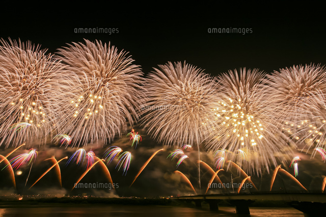 長岡まつり大花火大会のフェニックス花火 の写真素材 イラスト素材 アマナイメージズ