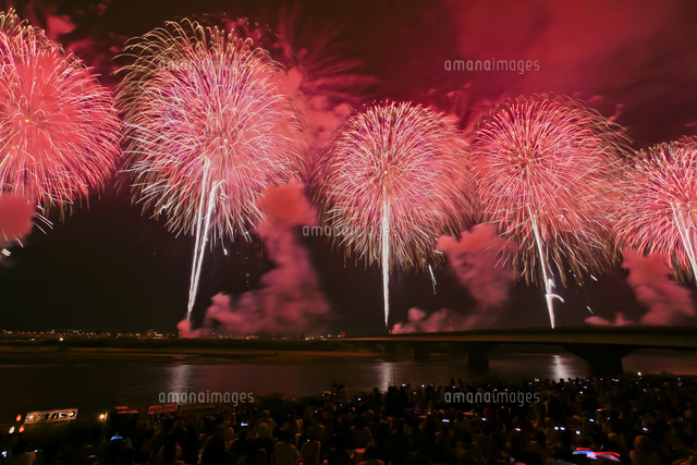 長岡まつり大花火大会のフェニックス花火 の写真素材 イラスト素材 アマナイメージズ