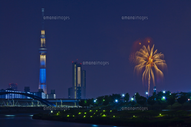 隅田川花火大会と東京スカイツリー の写真素材 イラスト素材 アマナイメージズ