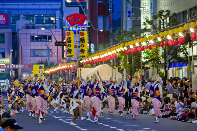 南越谷阿波踊りの流し踊り の写真素材 イラスト素材 アマナイメージズ
