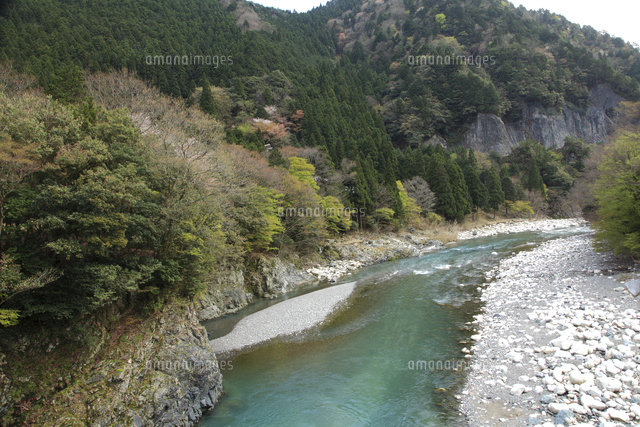 愛知川渓谷 永源寺ダム上流 黄和田地区 新緑 の写真素材 イラスト素材 アマナイメージズ