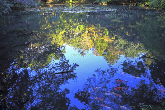 水面に映る景色 の写真素材 イラスト素材 アマナイメージズ
