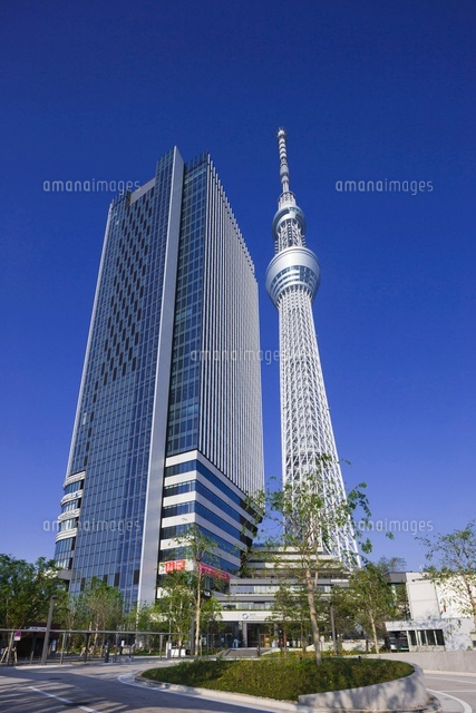 m*5様 東京スカイツリー 押上 3D都市データを活用した都市模型(