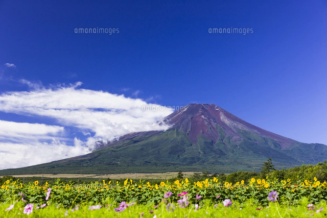 富士山と雲の写真 富士山と笠雲 山梨県本栖湖にて の Stock フォト | Adobe Stock