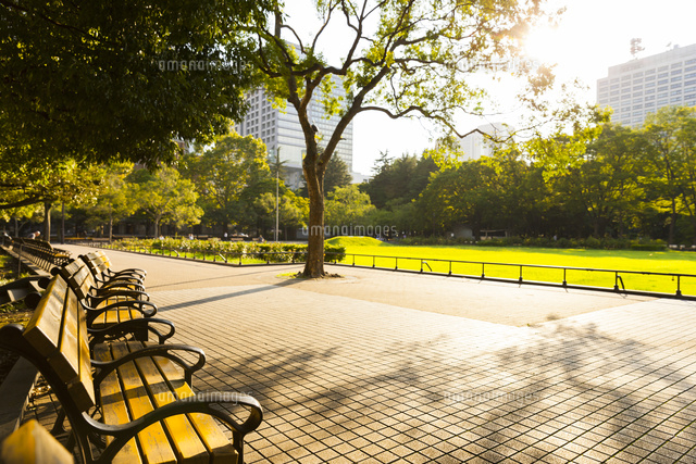 日比谷公園のベンチ の写真素材 イラスト素材 アマナイメージズ