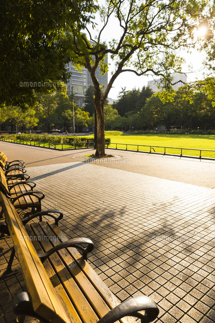 日比谷公園のベンチ の写真素材 イラスト素材 アマナイメージズ