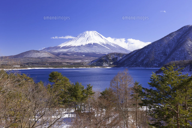 冬の本栖湖と富士山[10284002232]の写真・イラスト素材｜アマナイメージズ