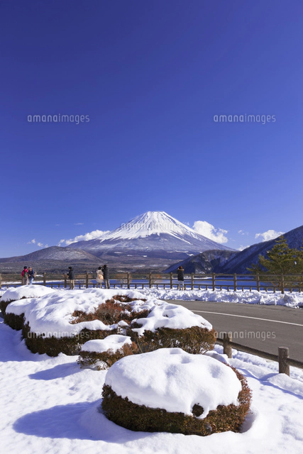冬の本栖湖と富士山[10284002232]の写真・イラスト素材｜アマナイメージズ
