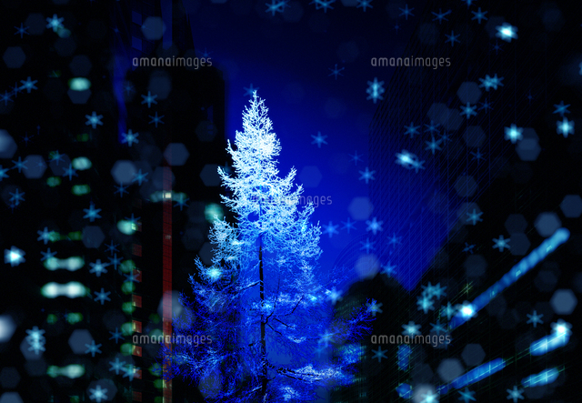 クリスマス イルミネーション の写真素材 イラスト素材 アマナイメージズ