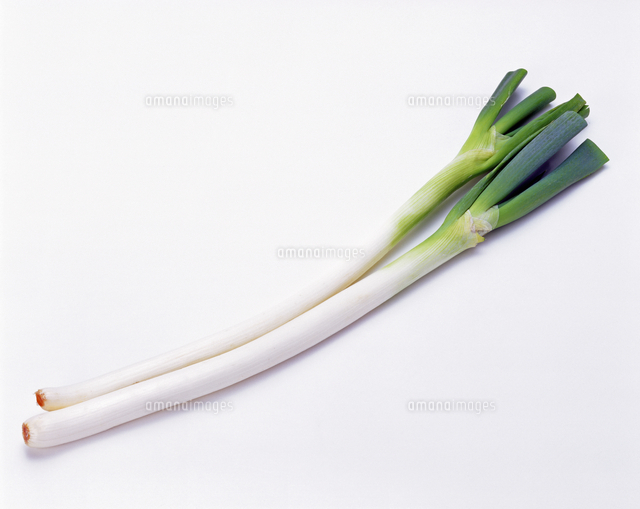 長ねぎ の写真素材 イラスト素材 アマナイメージズ