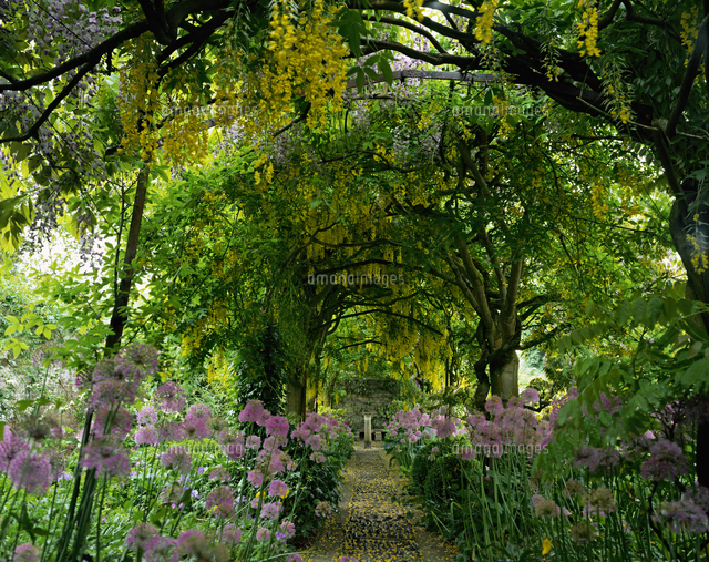 バーンズリーハウス の写真素材 イラスト素材 アマナイメージズ