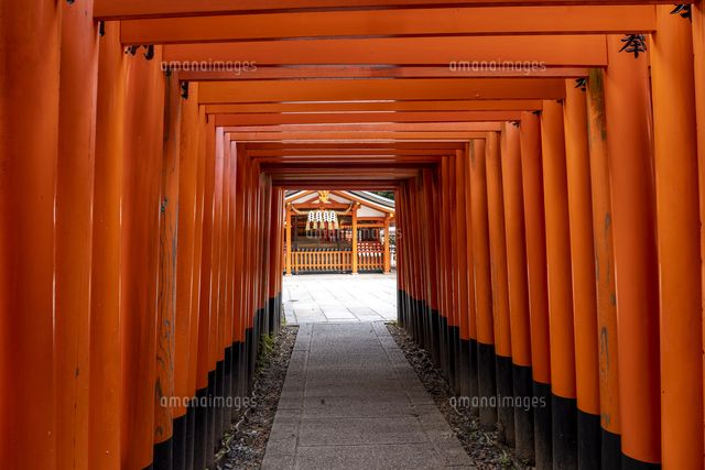 伏見稲荷大社 千本鳥居 の写真素材 イラスト素材 アマナイメージズ 伏見稲荷大社 千本鳥居 の写真素材 イラスト素材 アマナイメージズ