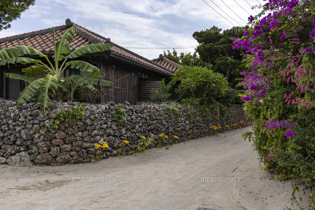 竹富島 古民家集落[10285004257]の写真・イラスト素材｜アマナイメージズ