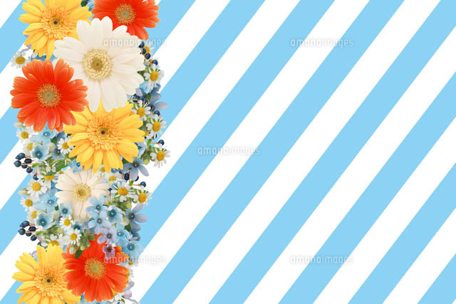 花とストライプの柄 の写真素材 イラスト素材 アマナイメージズ