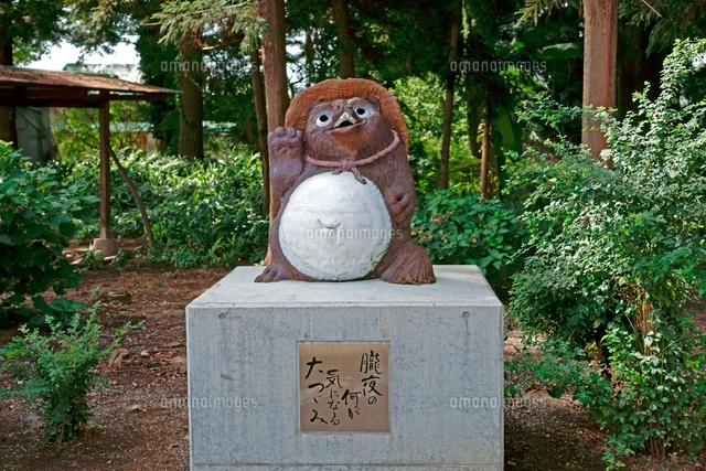 アナグマ タヌキ ㊸ 信楽焼 たぬき 大きい 縁起物 和 益子焼の