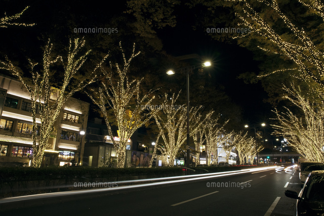 表参道イルミネーション 夜景 の写真素材 イラスト素材 アマナイメージズ