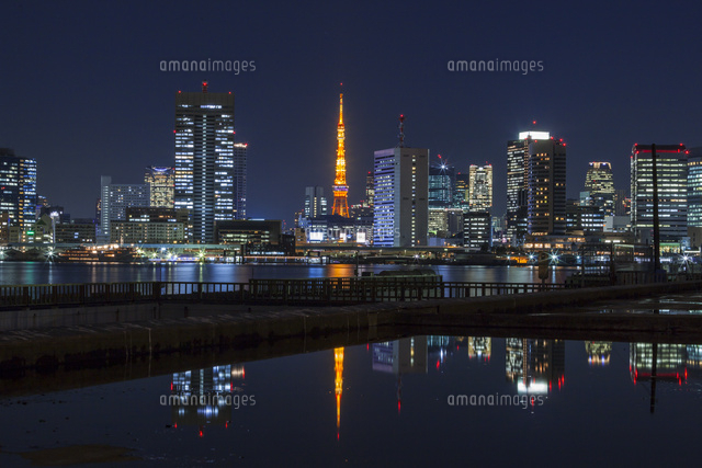 絵画 645 油絵/風景/街景/東京/東京湾/埠頭/晴海/豊洲/P8号 絵画