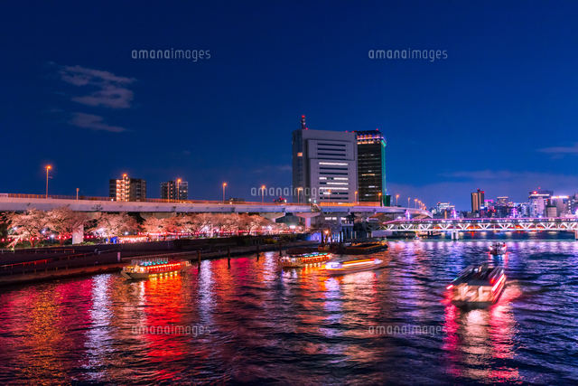 桜咲く春の隅田川夜景 東京春風景[10309002601]の写真・イラスト素材