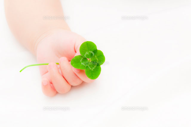 四葉のクローバーを持つ赤ちゃんの手 の写真素材 イラスト素材 アマナイメージズ