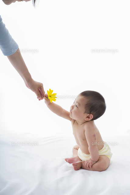 差し出された黄色い花を掴む赤ちゃん の写真素材 イラスト素材 アマナイメージズ