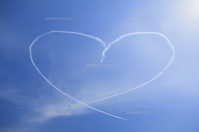 ハワイ島に咲くピンクッションの花 の写真素材 イラスト素材 アマナイメージズ