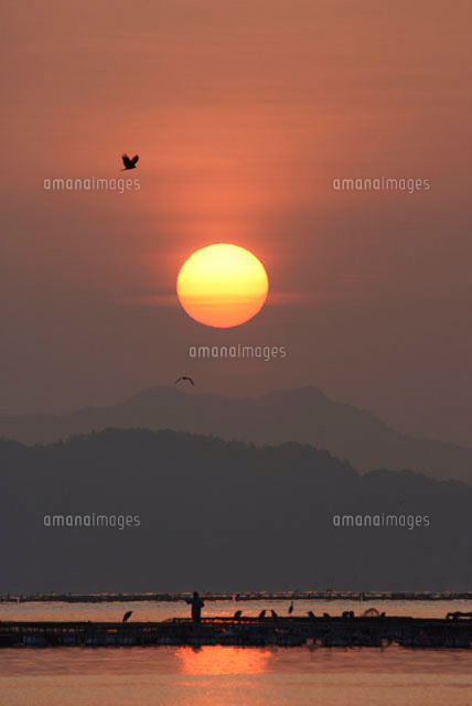 朝日と鳥 の写真素材 イラスト素材 アマナイメージズ