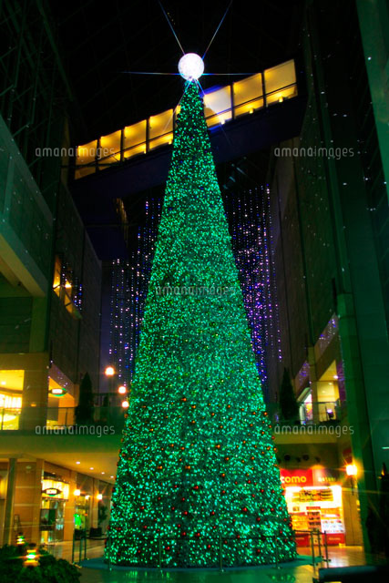 キャナルガーデンの大クリスマスツリー[10330000060]の写真・イラスト 