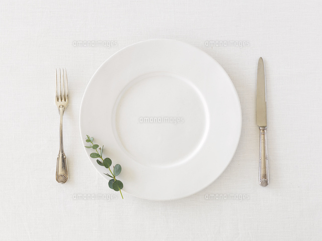 白い皿とナイフとフォークとユーカリ の写真素材 イラスト素材 アマナイメージズ