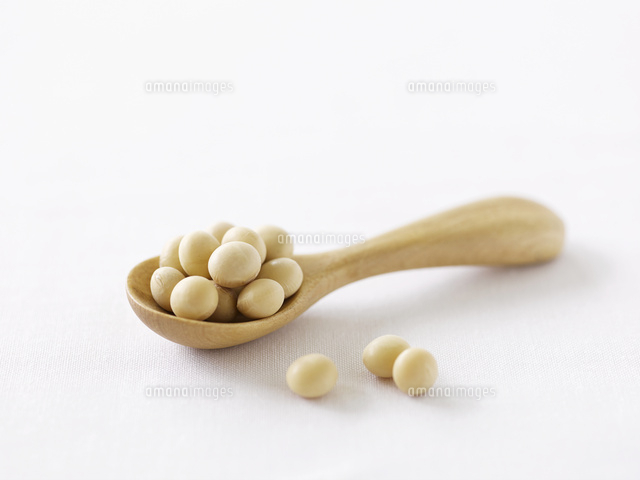 大豆と木のスプーン の写真素材 イラスト素材 アマナイメージズ