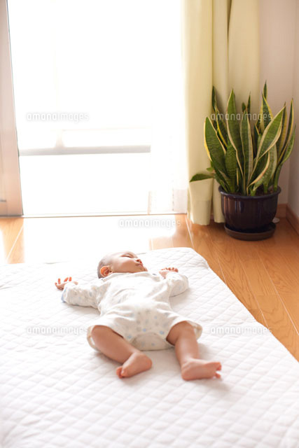 リビングで寝る赤ちゃん の写真素材 イラスト素材 アマナイメージズ