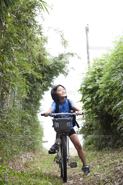 道路を自転車に乗って走る男の子の後ろ姿 の写真素材 イラスト素材 アマナイメージズ